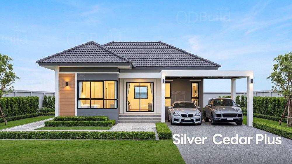 Silver Cedar+